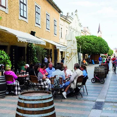 House And In Balaton 19032 Ferienhaus
