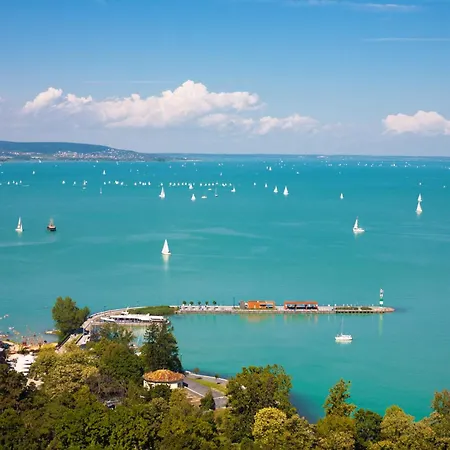 House And In Balaton 19032 *